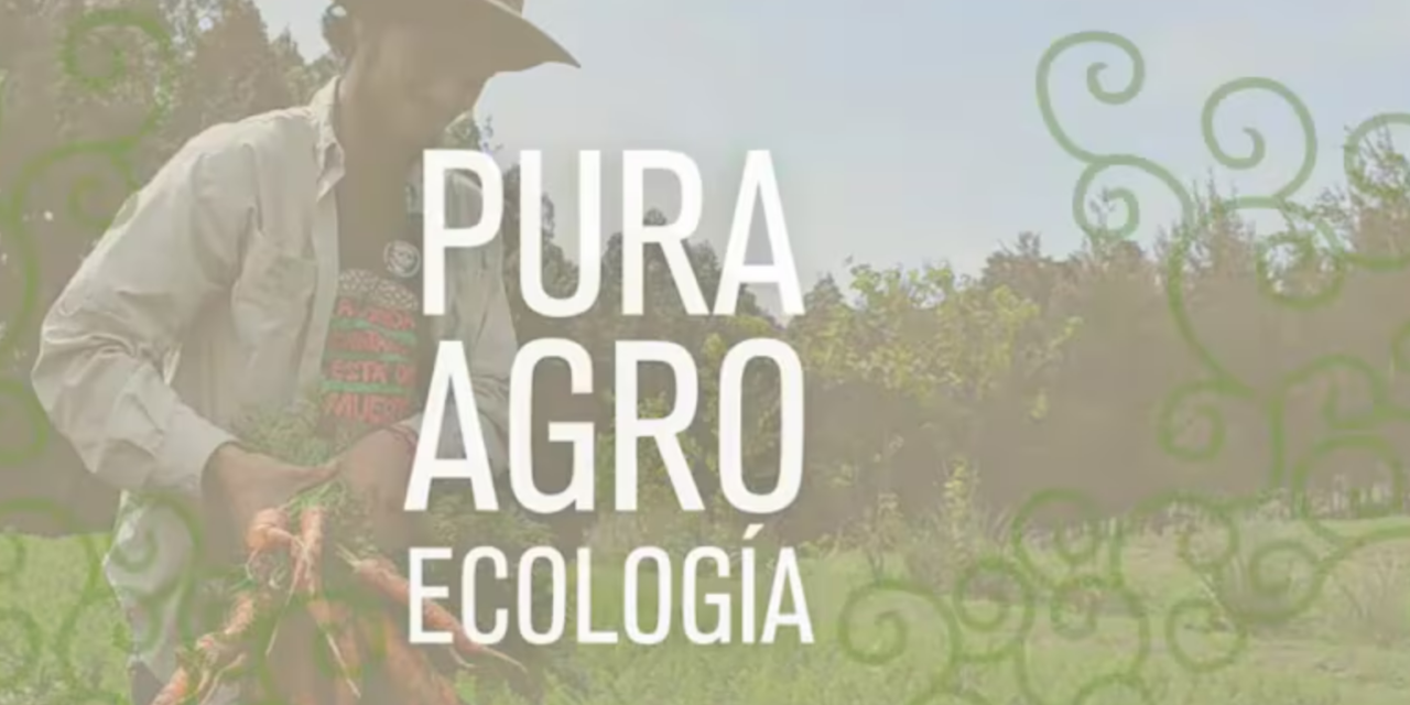 Video: Pura Agroecología