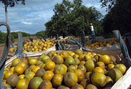 Las naranjas de la ira: relato de un campesino costarricense