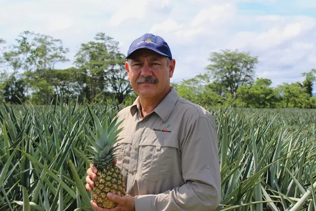 ¿Tierra de labriegos sencillos? Debates sobre la agricultura en Costa Rica