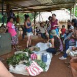 Red de Mujeres Rurales: La tradición de curadoras y la protección de la biodiversidad