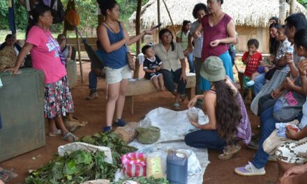 Red de Mujeres Rurales: La tradición de curadoras y la protección de la biodiversidad