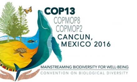 La COP13, algunas tendencias negativas y el papel de Costa Rica