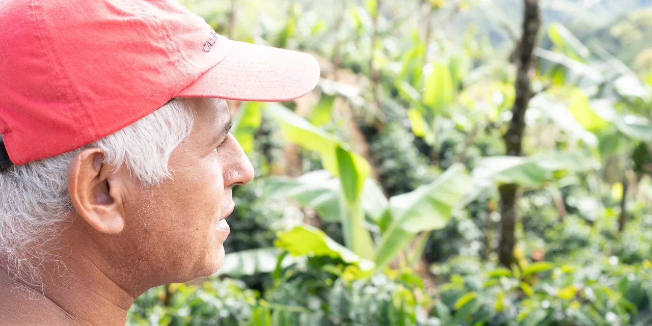 Producción agroecológica en la finca cafetalera El Balar