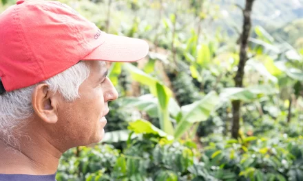 Producción agroecológica en la finca cafetalera El Balar