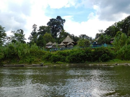 La Oficina Nacional de Semillas de Costa Rica incumple la Ley de Biodiversidad