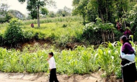 Ecofeminismos y agroecología en diálogo para la defensa de la vida