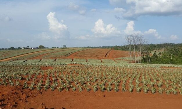 La “necesidad” de “alimentos” de la humanidad para 2050