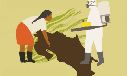 El estado de la agroecología en Costa Rica