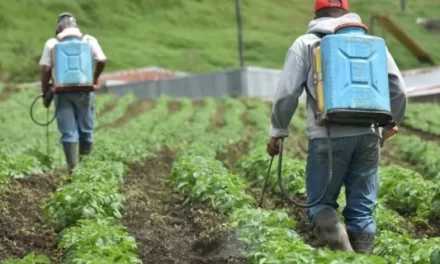 Nuevamente campeones mundiales en uso agroquímicos según estadísticas de FAO