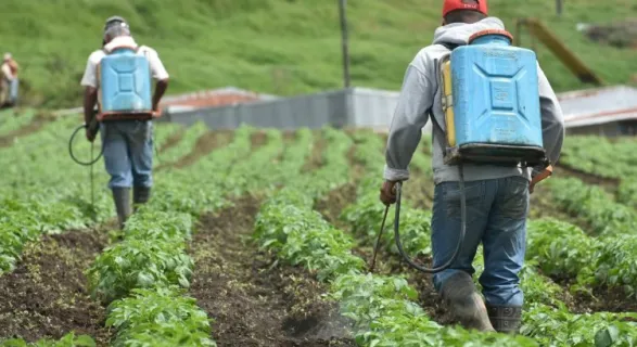 Nuevamente campeones mundiales en uso agroquímicos según estadísticas de FAO