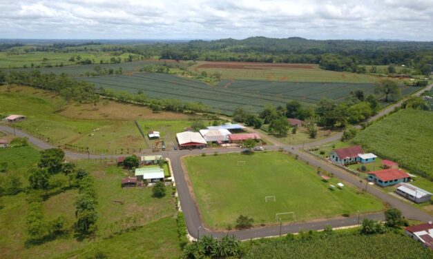 Otra vez: emergencia en Escuela de Florencia de San Carlos por agrotóxicos de piñera