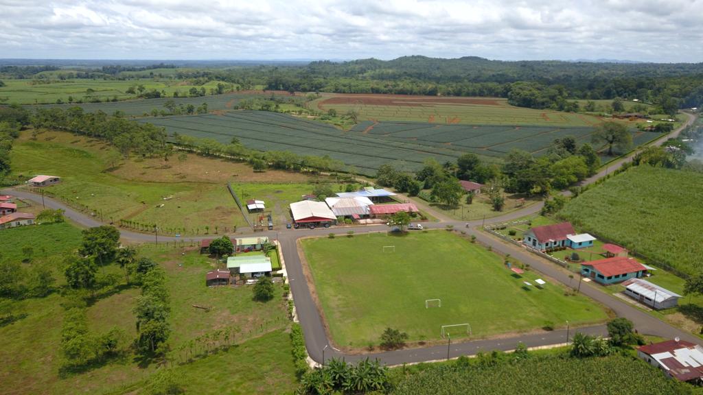 Otra vez: emergencia en Escuela de Florencia de San Carlos por agrotóxicos de piñera