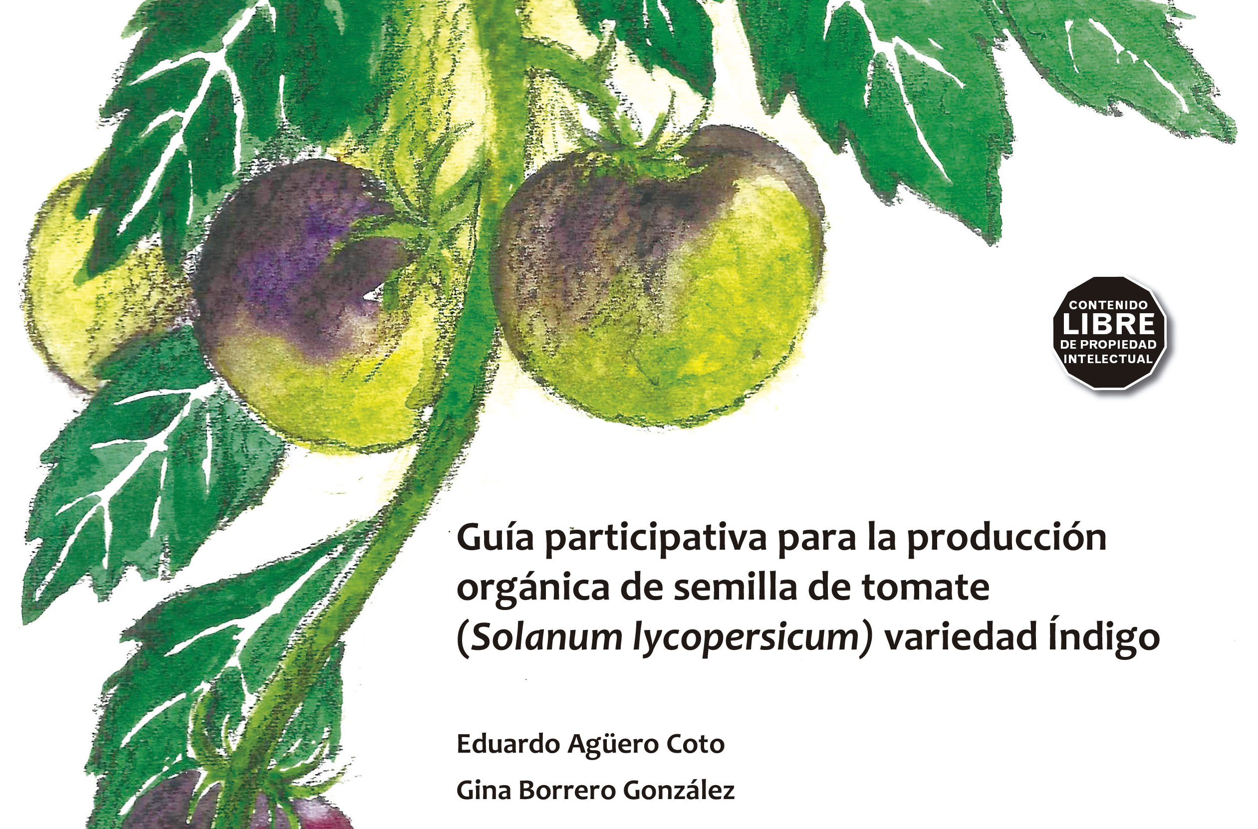 Guía para la producción de semillas orgánicas de tomate