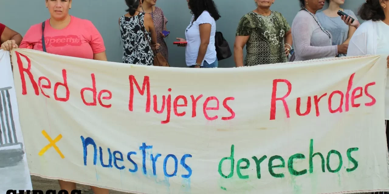 Las mujeres de la Red y el manejo que hacemos de las semillas