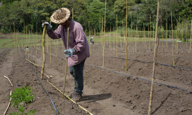 Los privilegios fiscales de industrias contaminantes: los importadores de agroquímicos