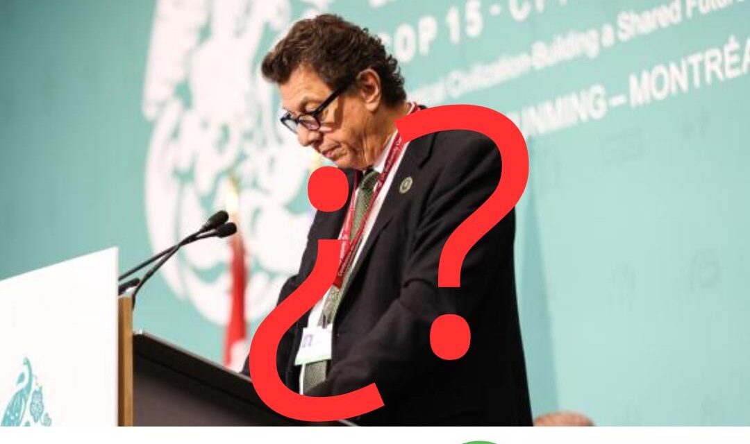 ¿Tiene claro el gobierno de Costa Rica su papel en la COP16?
