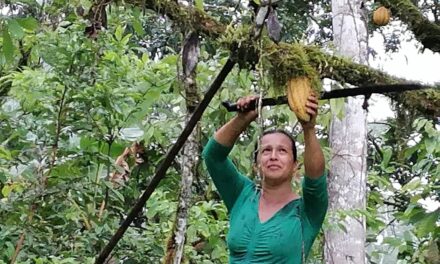 MAG obstaculizará la agricultura orgánica con nuevo reglamento 