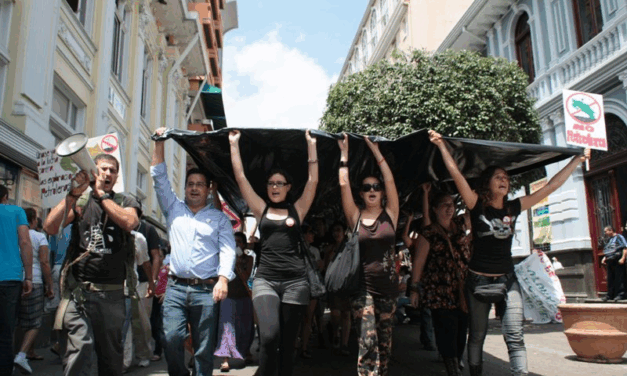 NINGUNA VICTORIA ECOLOGISTA ES PERMANENTE…