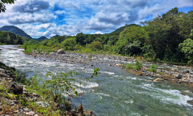 Aprueban moratoria inicial para el río Guacimal y abren proceso de evaluación sobre minería en cauces de Puntarenas